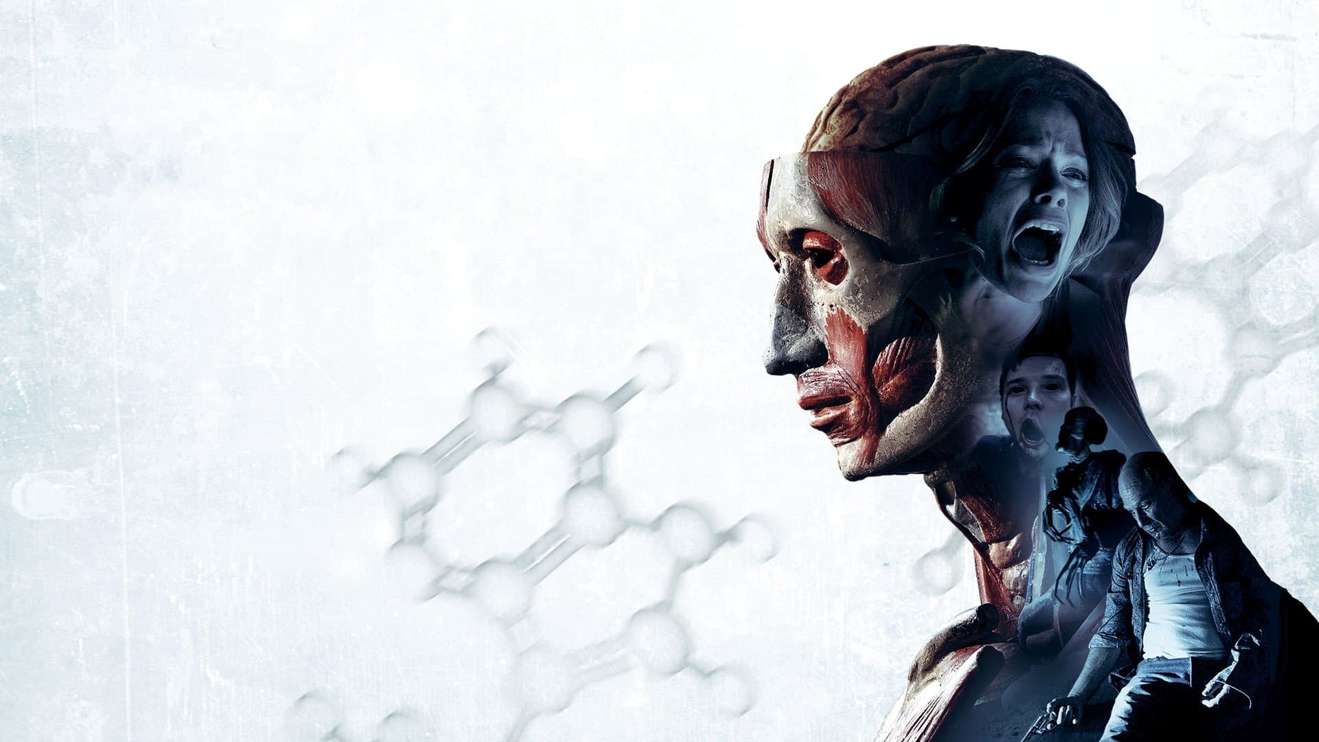 Banshee Chapter backdrop