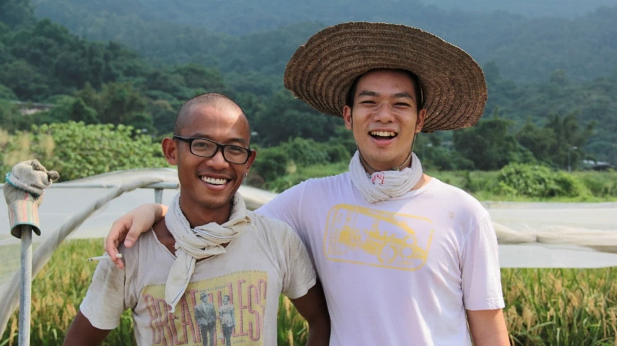 The Way of Paddy backdrop