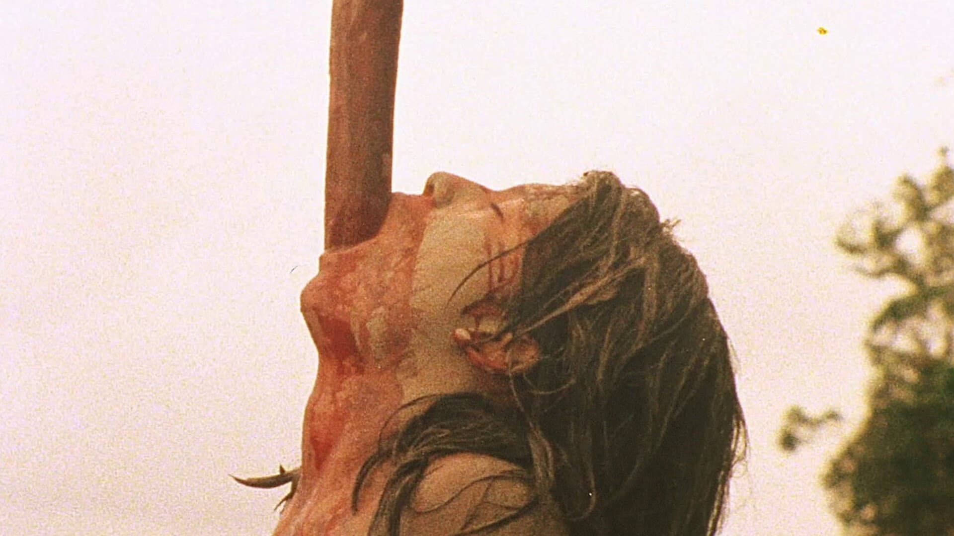 Cannibal Holocaust backdrop