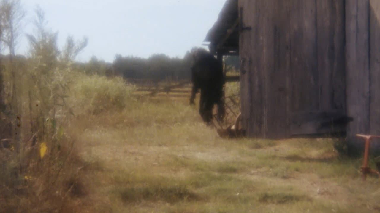 Boggy Creek II: And the Legend Continues backdrop