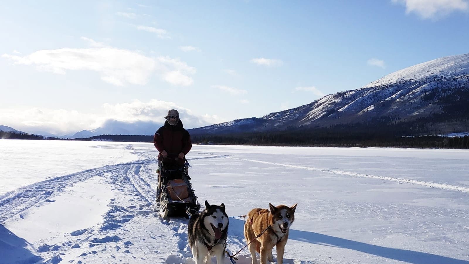 The Call of the Far North backdrop