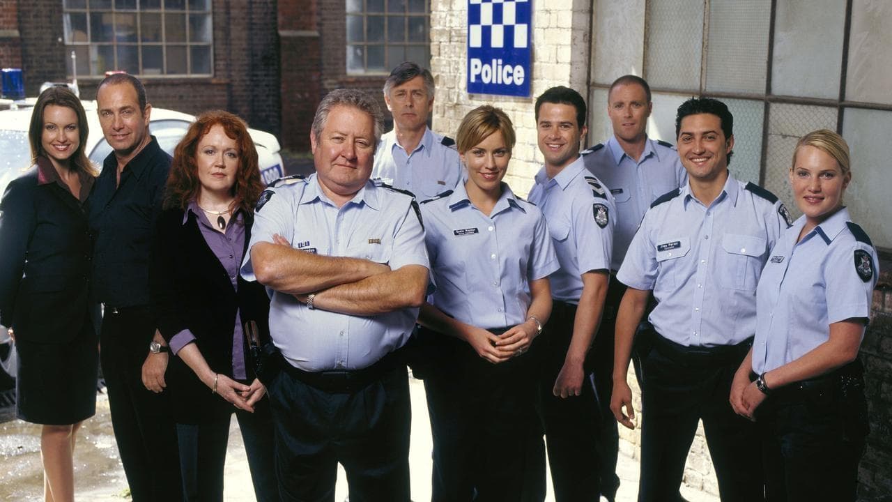 Blue Heelers backdrop